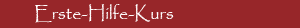 Erste-Hilfe-Kurs